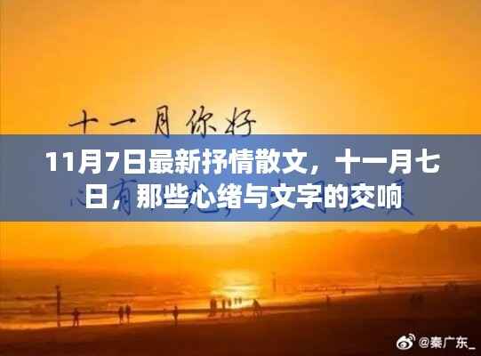 十一月七日,心绪与文字的交响