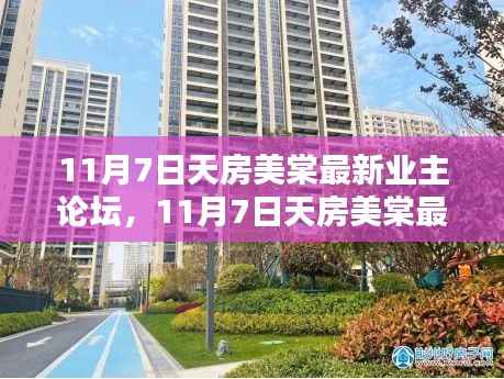 11月7日天房美棠业主论坛详解,参与步骤指南与最新热议话题