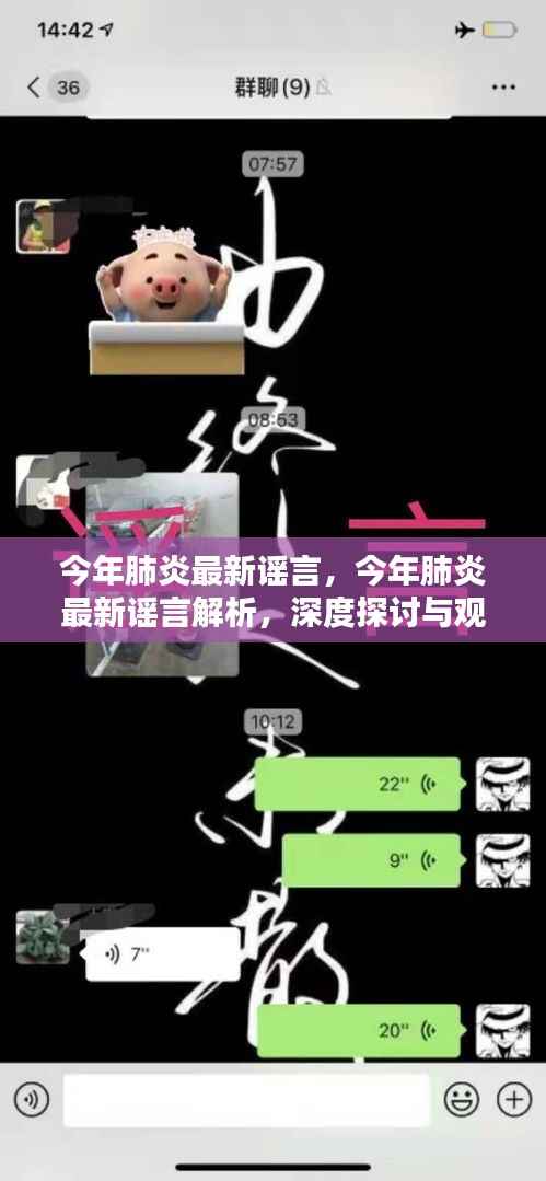 今年肺炎最新谣言揭秘,深度探讨与观点阐述