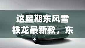 东风雪铁龙新款车型亮相,引领时尚风潮,成为本周焦点