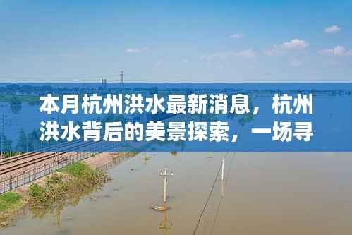 杭州洪水最新动态与美景探索,内心平静的寻找之旅