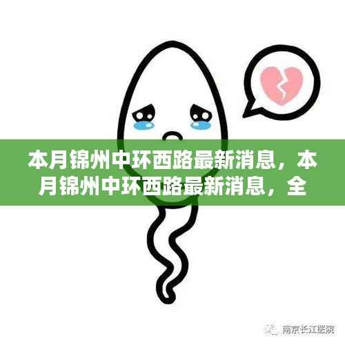 本月锦州中环西路最新消息，全面评测与深度介绍