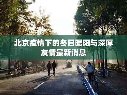 北京疫情下的冬日暖阳与深厚友情最新消息
