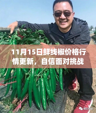 11月15日鲜线椒价格行情更新,自信面对挑战,笑迎学习变化成就梦想之路