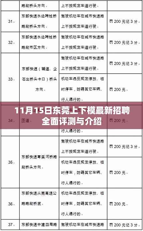 11月15日东莞上下模最新招聘全面评测与介绍