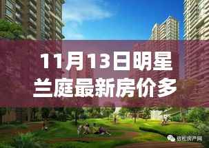 兰庭新星房价揭秘,暖心故事背后的星光闪耀