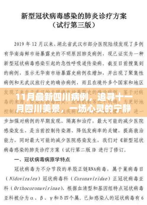 四川十一月病例追踪与美景探索,心灵宁静之旅