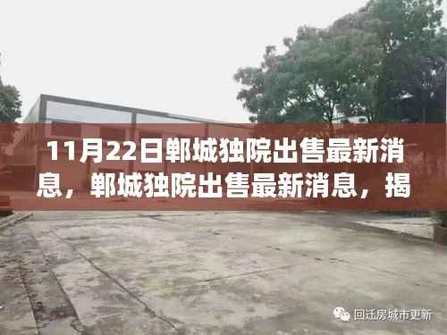 揭秘郸城独院出售最新消息及其背后的故事与深远影响(独家报道)
