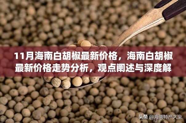 海南白胡椒最新价格动态及分析解读,深度阐述走势与观点