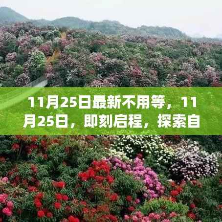 11月25日即刻启程,探索自然美景,拥抱内心宁静之旅