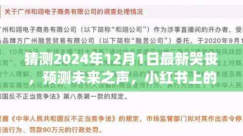 2024年最新哭丧现象解读，探寻情感释放新方式，小红书上的预测未来之声