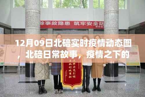 北碚日常故事,疫情动态下的暖心时光(12月09日实时更新)