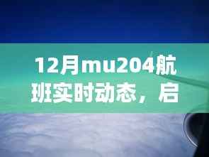 MU204航班，探寻十二月自然美景，启程心灵的平和之旅