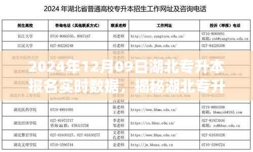 打马虎眼 第2页