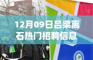 揭秘吕梁离石热门招聘市场，最新招聘信息深度解析（12月09日更新）