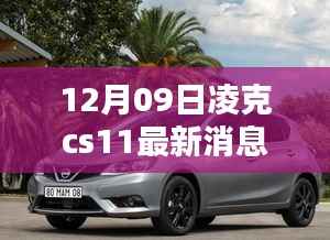 凌克CS11最新发现，小巷深处的独特风味——隐藏版特色小店揭秘