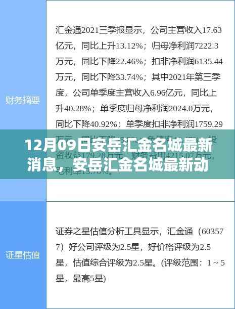 安岳汇金名城最新动态解析,聚焦发展态势与深度解读