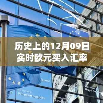 揭秘历史特殊日子,揭秘欧元买入汇率风云,探寻12月09日汇率走势