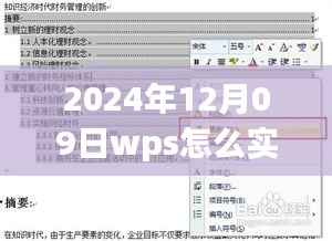 WPS实时编辑目录功能详解,操作指南与观点碰撞——2024年12月09日实战教程