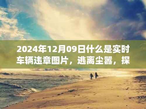 昙花一现 第4页