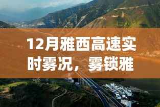 雾锁雅西高速,归途迷雾之旅实时报道