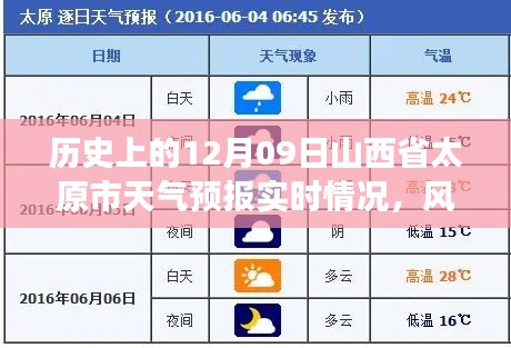 生张熟魏 第3页