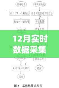揭秘十二月实时数据采集系统架构图，构建高效数据监控与管理网络的核心技术解析