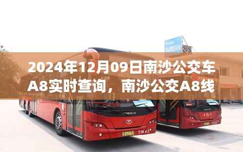 南沙公交A8线背后的暖心故事，与时间的约会，实时查询指南（2024年12月09日）