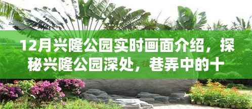 祖道供张 第2页