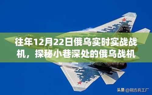 探秘俄乌战机实战体验馆,军事盛宴隐匿于喧嚣中的实战演练