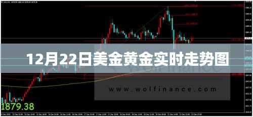 美金黄金走势图，最新实时动态分析