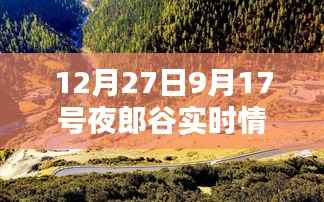 夜郎谷实时情况报道,最新动态观察