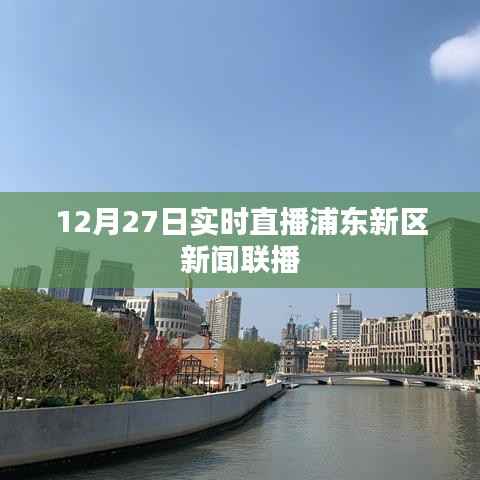 浦东新区新闻联播直播回放，最新动态尽在掌握