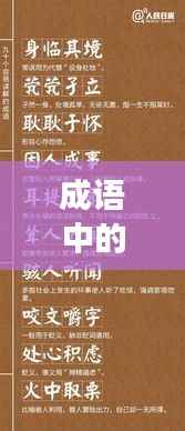 成语中的学习与成长智慧，不断进步，塑造卓越人生