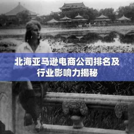 北海亚马逊电商公司排名及行业影响力揭秘