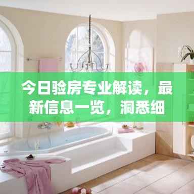 今日验房专业解读，最新信息一览，洞悉细节，助你安心收房