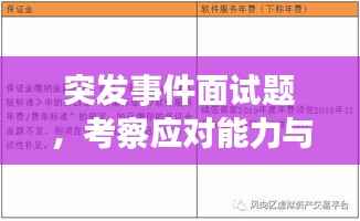 突发事件面试题，考察应对能力与心理素质，提升求职者综合素质表现