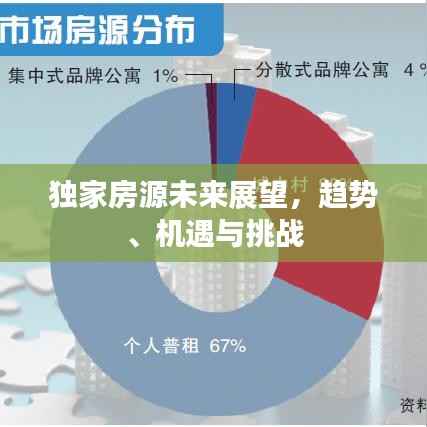独家房源未来展望,趋势、机遇与挑战
