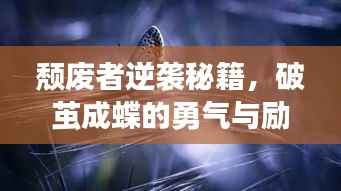 心旷神怡 第2页