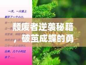 颓废者逆袭秘籍,破茧成蝶的勇气与励志语录