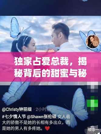 独家占爱总裁，揭秘背后的甜蜜与秘密！