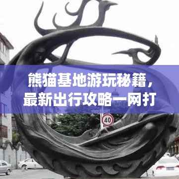 熊猫基地游玩秘籍，最新出行攻略一网打尽！