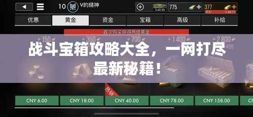 战斗宝箱攻略大全,一网打尽最新秘籍!