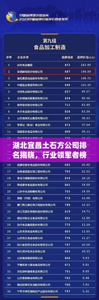 湖北宜昌土石方公司排名揭晓,行业领军者榜单