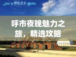 呼市夜晚魅力之旅，精选攻略带你畅游草原夜色