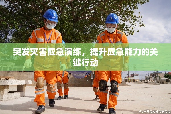 突发灾害应急演练，提升应急能力的关键行动