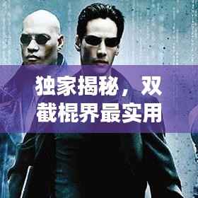 独家揭秘,双截棍界最实用十大排名榜单!