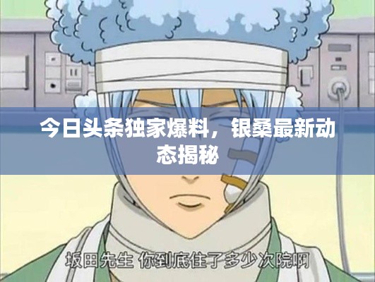 今日头条独家爆料,银桑最新动态揭秘