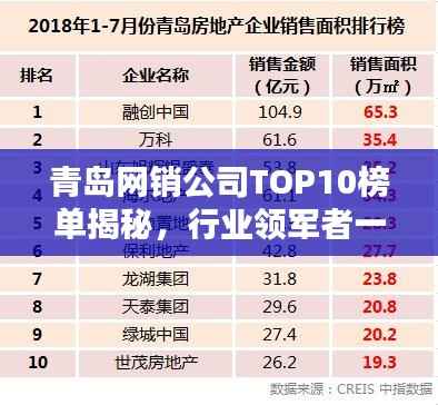 青岛网销公司TOP10榜单揭秘，行业领军者一网打尽！